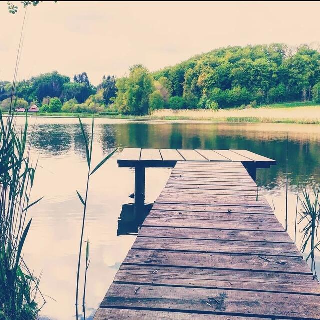 Neumühlsee