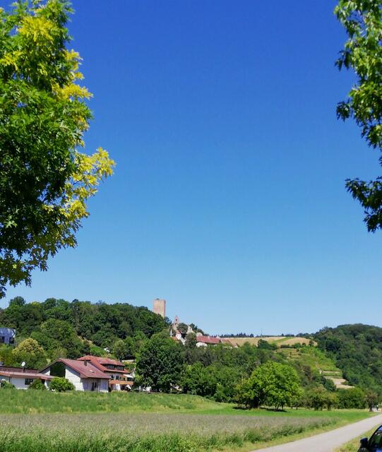 Burg und Schloß Ehrenberg bei Heinsheim