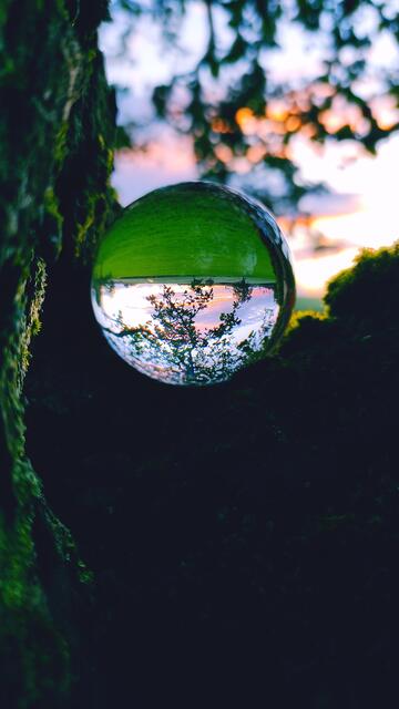 Glaskugel am Baum