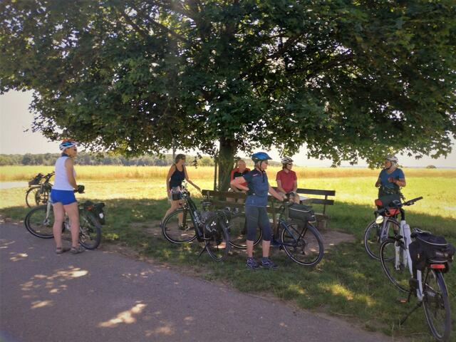 Kleine Verschnaufpause unter einem schattigen Baum.