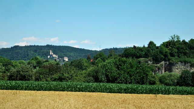 In der Ferne ist die Burg Hornberg zu sehen.