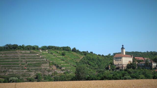 Schloß Horneck und der Michaelsberg bei Gundelsheim