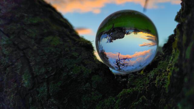 Glaskugel am Baum bei Sonnenuntergang