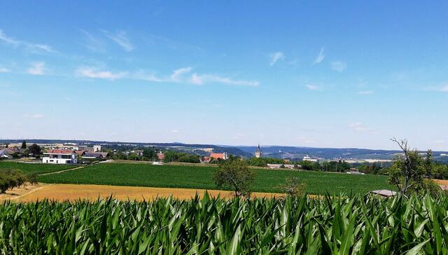 Herrliche Sicht über Bad Wimpfen ins Neckartal - im Hintergrund Gundelsheim, Burg Hornberg und der Katzenbuckel spickt auch noch hervor!