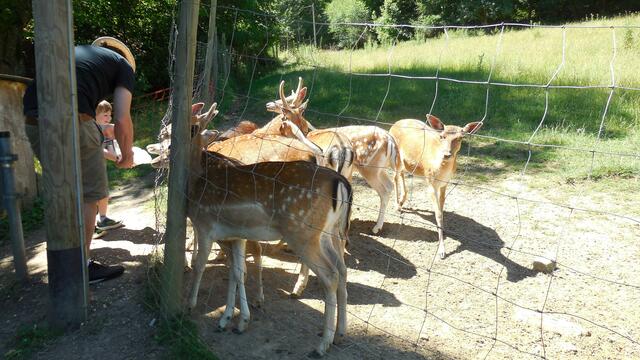 Beim Wildgehege im Fünfmühlental.