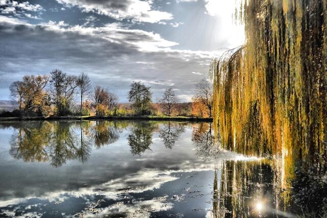 am Fischteich in Stein