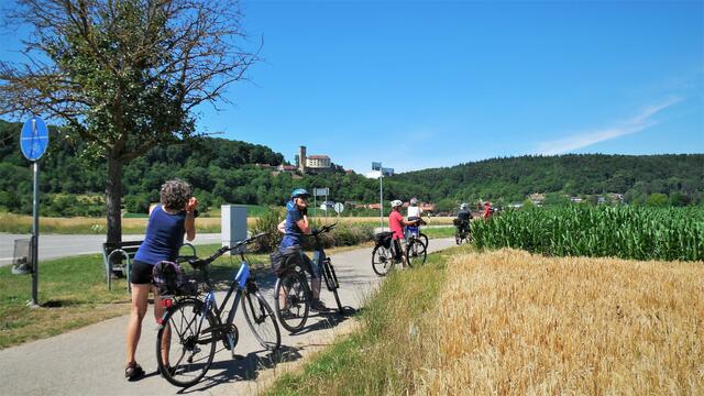 Blick auf die über Neckarmühlbach gelegenen spätmittelalterlichen Höhenburg, der Burg Guttenberg mit der deutschen Greifenwarte.