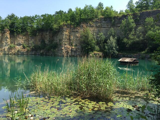 Natur pur.     Aufnahme Tauchsteinsee bei Talheim