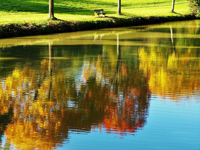 Herbstliche Spiegelung