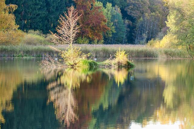 Finsterroter See im Herbst