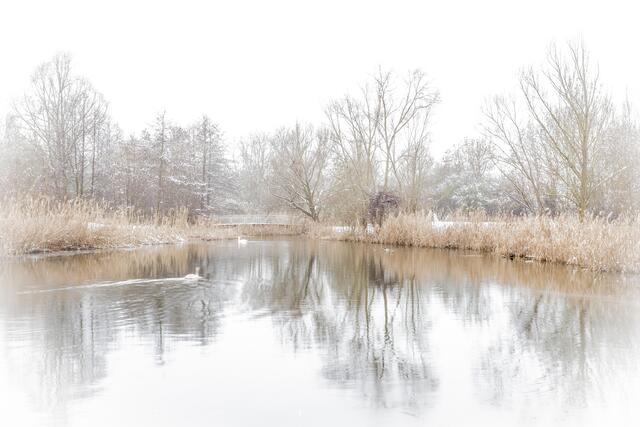 Im Ziegeleipark