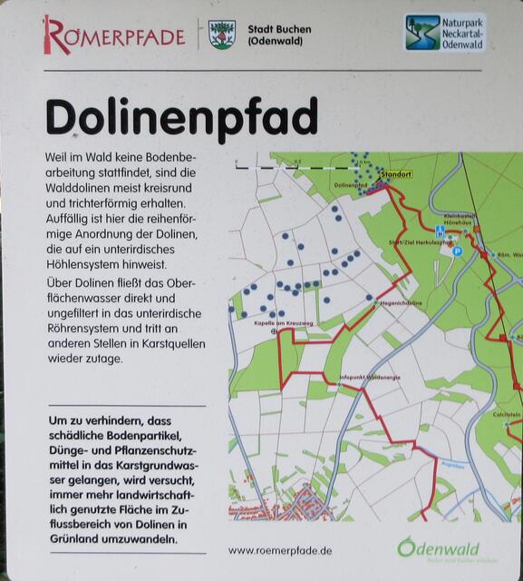 Eine so große Anzahl von Dolinen haben wir bisher noch nicht gesehen