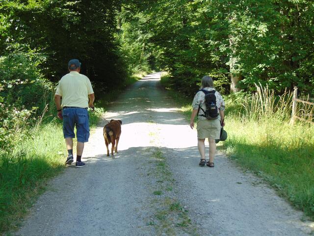 Auch ein Hund hat die Wanderer begleitet.