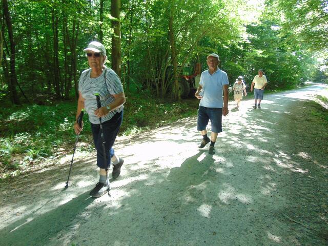 Mit Wanderstecken lässt es sich für manche der Senioren einfacher wandern.