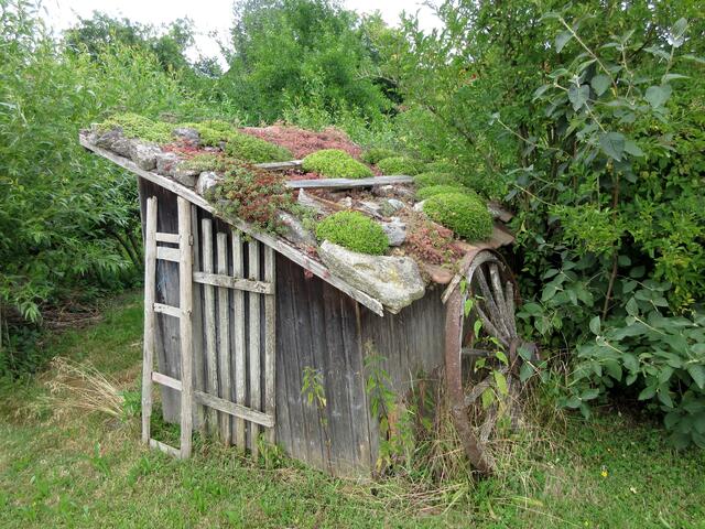 Schmuckstück oder Lost Place?