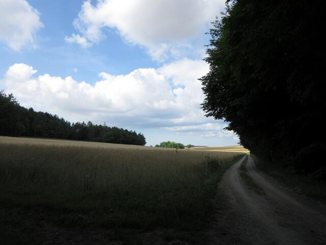 Da es eine sehr abwechslungsreiche Strecke ist, gibt es auch einige längere Abschnitte über freies Feld im Bauland. Somit ist die Wanderung bei großer Hitze nicht zu empfehlen. Wir hatten aber mit dem kühlen Wind und den Wolken richtig Glück.