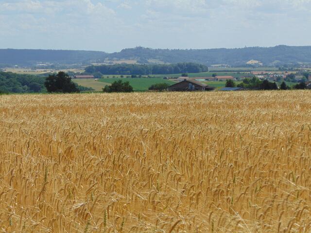 ... und auch Waldenburg selbst ist in der Ferne zu erkennen