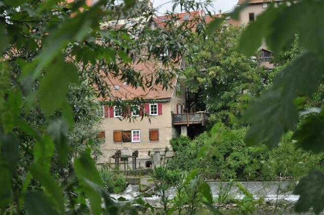 An der Enz | Foto: Daniela Somers