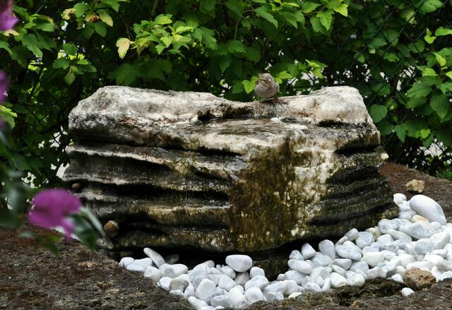 Aussicht beim Kaffee trinken, Mauk in Lauffen | Foto: Daniela Somers