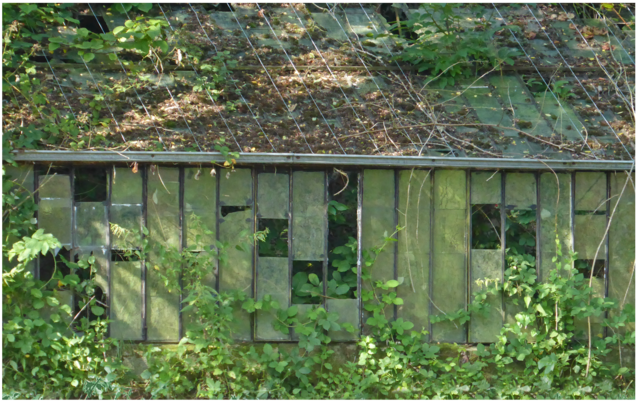altes Gewächshaus beim Lauterbacher Hof