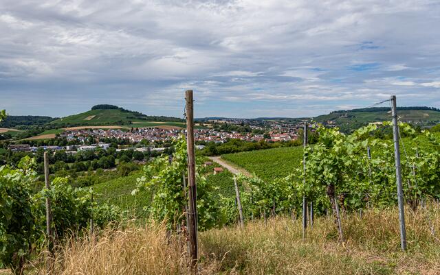 Blick auf Oberstenfeld und Beilstein mit Burg