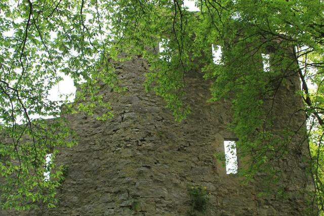 Ruine Geyersburg nahe Untermünkheim