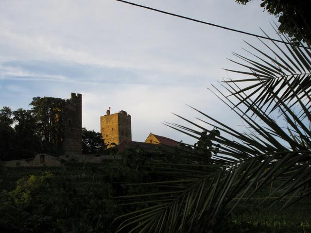 Burg über Palmen