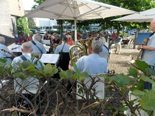 Zahlreiche Besucher hatten sich bei tropischer Hitze unter schattigen Platanen für das Banjokonzert eingefunden.