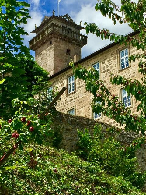 Das Schloss Waldenburg ist in Privatbesitz und deshalb nur der Innenhof zur Besichtigung frei. | Foto: Heide Böllinger