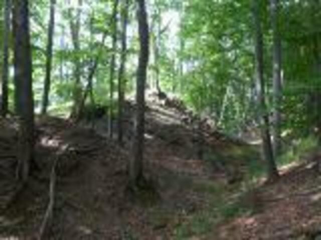 Die Wanderung 2 bietet den Blick auf die Wallanlagen Gabelstein. | Foto: Helmut Brehm