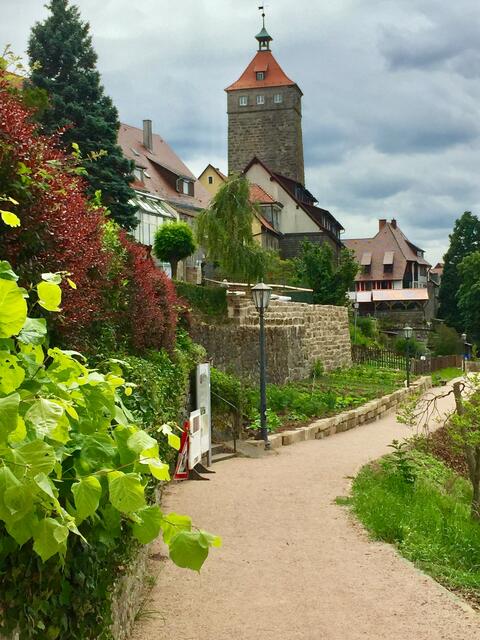 Der Waldenburger Panoramaweg mit Informationstafeln und dahinter der Lachnersturm. | Foto: Heide Böllinger