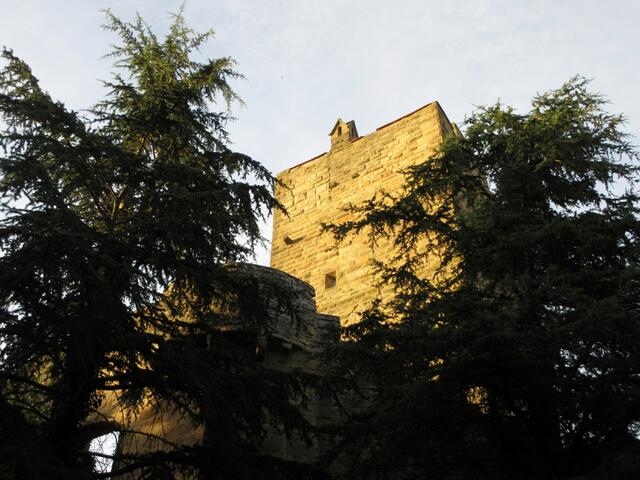 Burg Neipperg in der Abendsonne