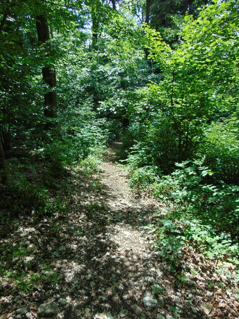 Der Beginn eines Wanderwegs.