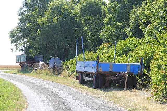 Wie lange die hier wohl schon stehen? Oberhalb Geislingen in der Nähe der Kochertalbrücke