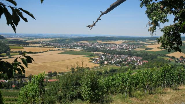 Herrlicher Blick vom Höhenrandweg Richtung Burg Lichtenberg.