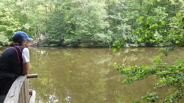 Am einsam und still gelegenen Feuersee.