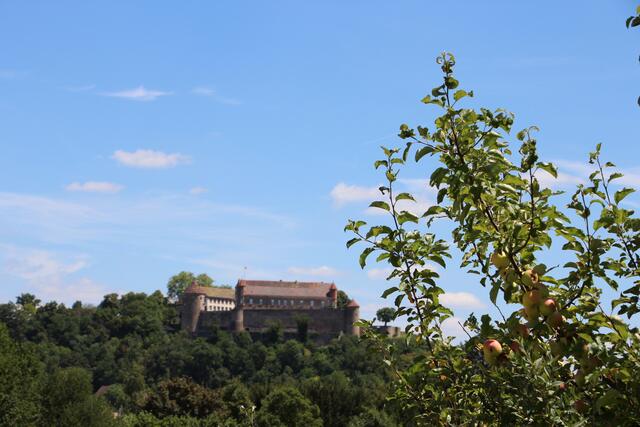 Burg Stettenfels von der Landstrasse nach Auenstein aus aufgenommen