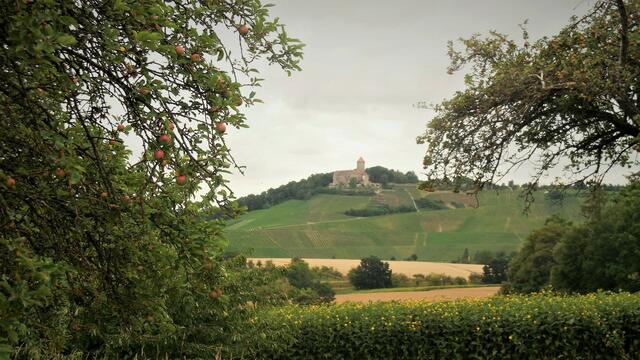 Das Wahrzeichen des Bottwartals - die aus dem 12. Jahrhundert stammende und besterhaltendste Stauferburg Deutschlands, die Burg Lichtenberg.