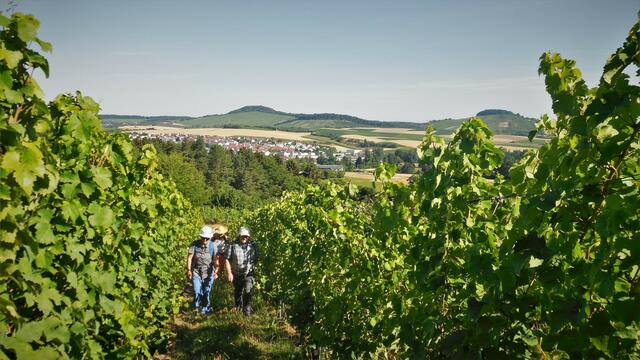 Auf direkten Weg durch Weinberge hoch zum Harzberghäuschen.