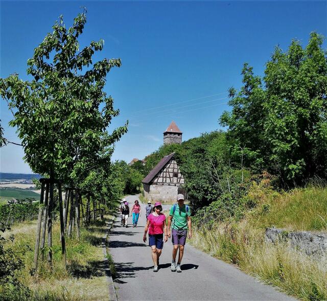 Auf dem Rückweg von der Höhenburg Lichtenberg.