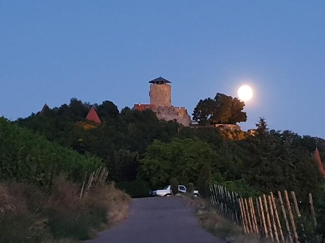 Burg Hohenbeilstein