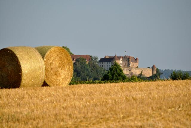 Ernte mit Blick auf Burg Stettenfels