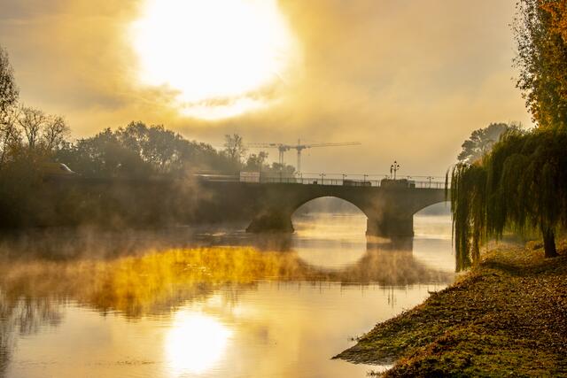 Nebelmorgen in Lauffen am Neckar