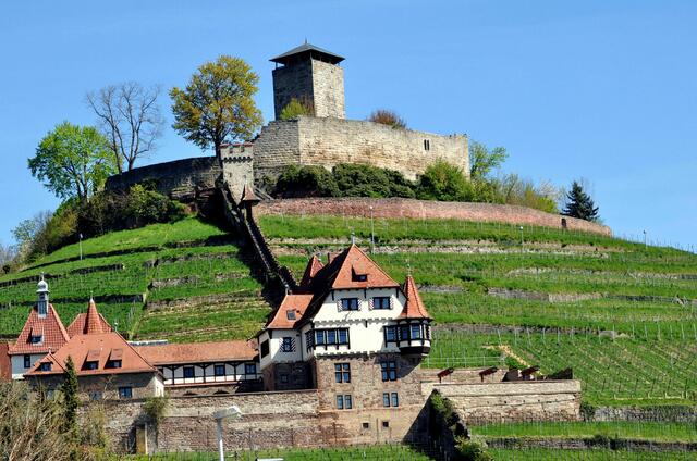 Blick auf Burg Hohenbeilstein