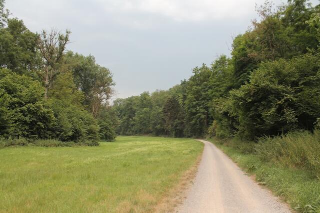 Schozachtal und alter Zugweg