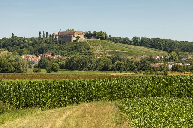 Schöne Wanderwege durch's Bottwarttal vorbei an der Burg Stettenfels bei Untergruppenbach