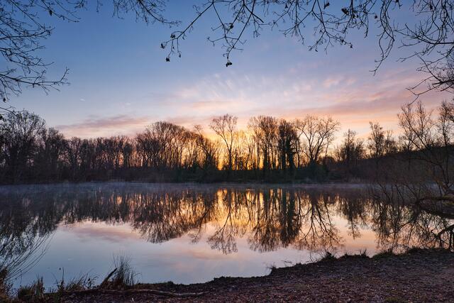 Morgenstimmung am Seeloch in Lauffen