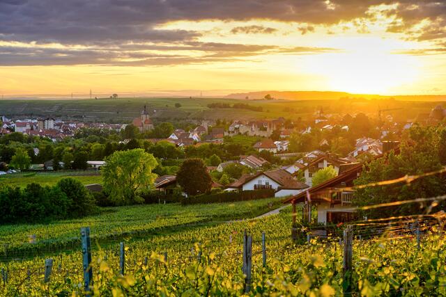 Sonnenuntergang über Lauffen