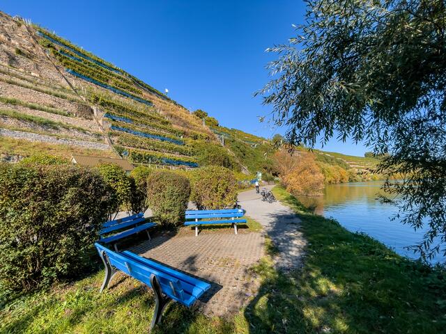Weinberge und Neckar bei Kirchheim