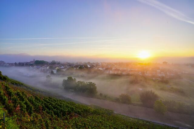 Morgenstimmung in Lauffen